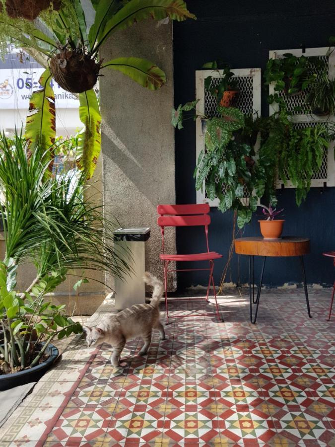 איפוה The Brownstone Hostel & Space מראה חיצוני תמונה