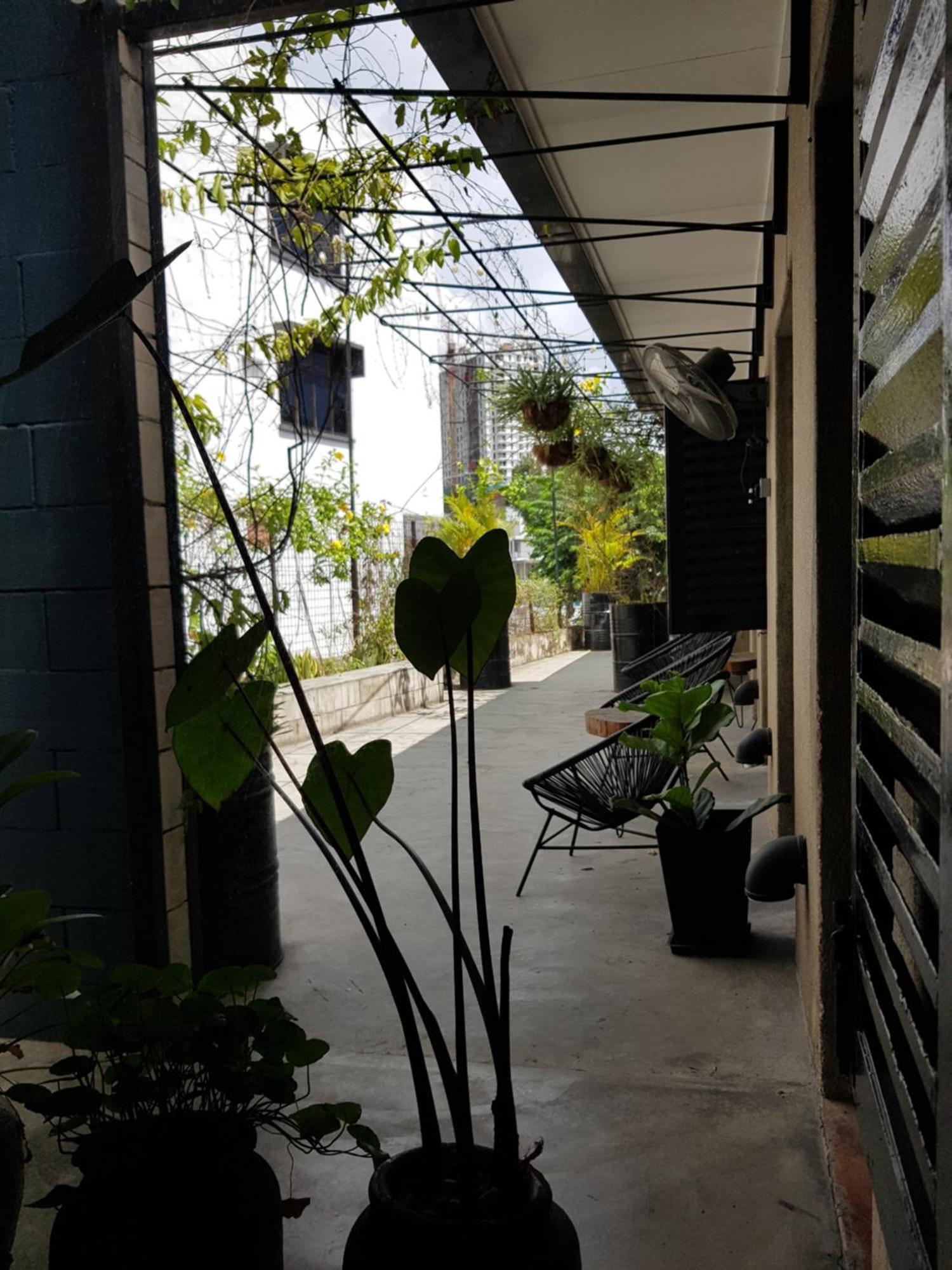 איפוה The Brownstone Hostel & Space חדר תמונה